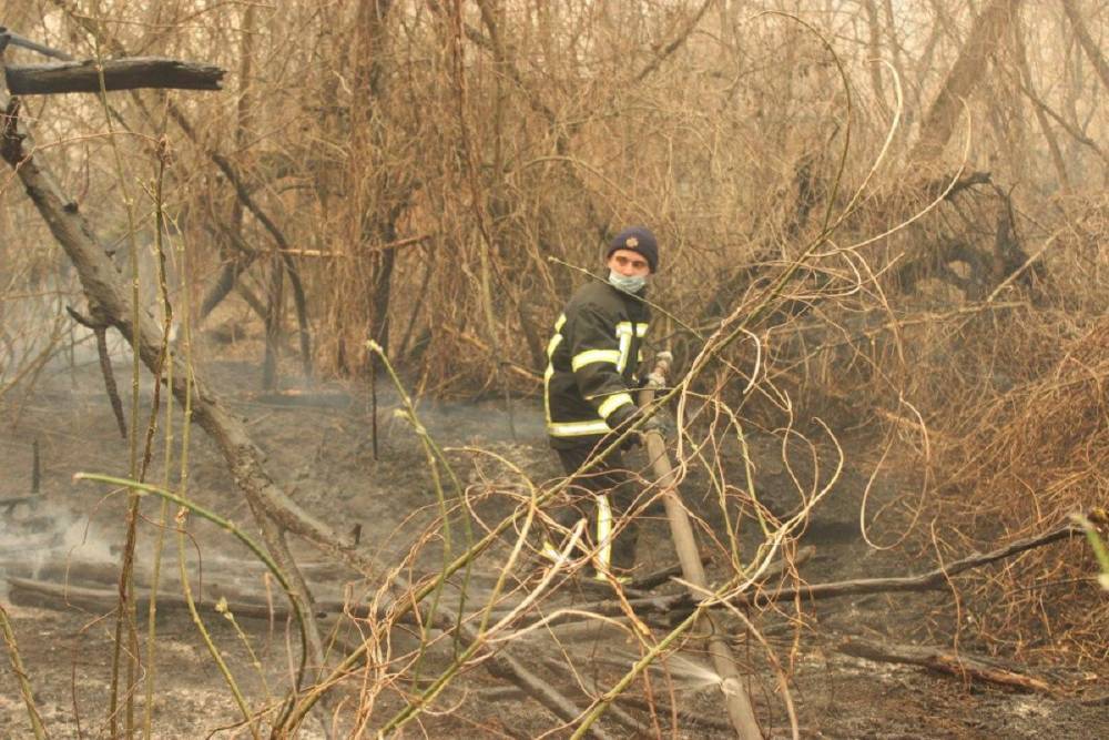 Пожар в Чернобыле: Огромный столб дыма несёт в сторону Киева