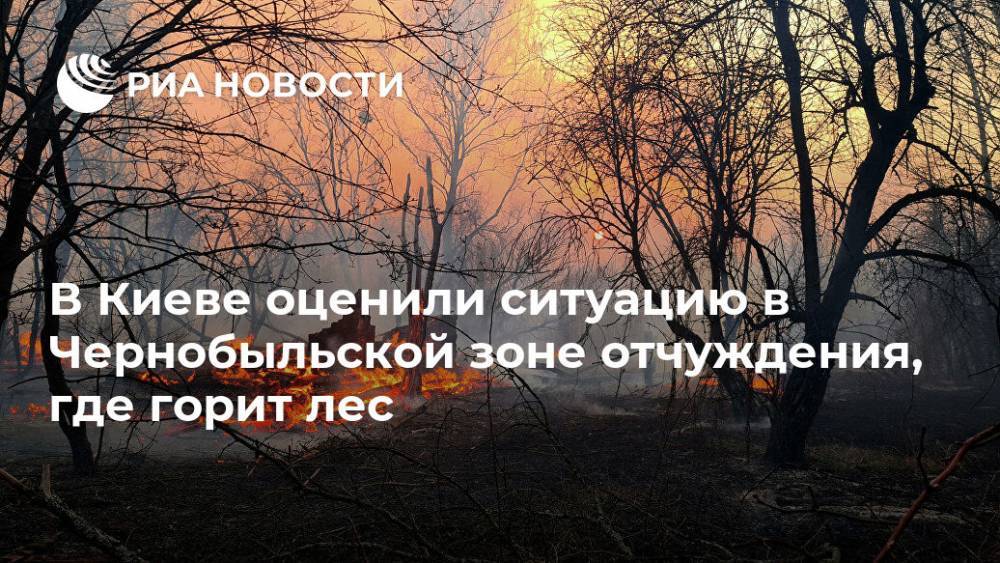 В Киеве оценили ситуацию в Чернобыльской зоне отчуждения, где горит лес