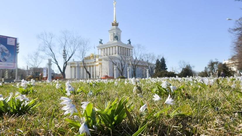 Синоптик рассказал о приходе весны в Москву