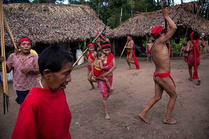 Индейцам Амазонии предрекли вымирание из-за заражения коронавирусом