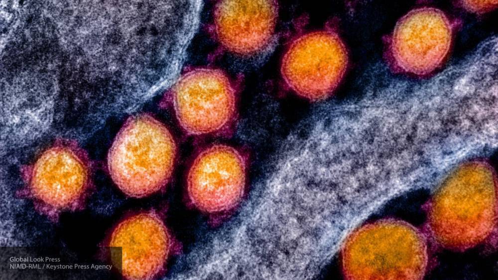 Число заболевших коронавирусом в России выросло до 13 584 человек
