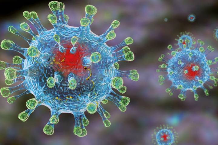 В России выявили 1667 новых случаев заражения коронавирусом за сутки