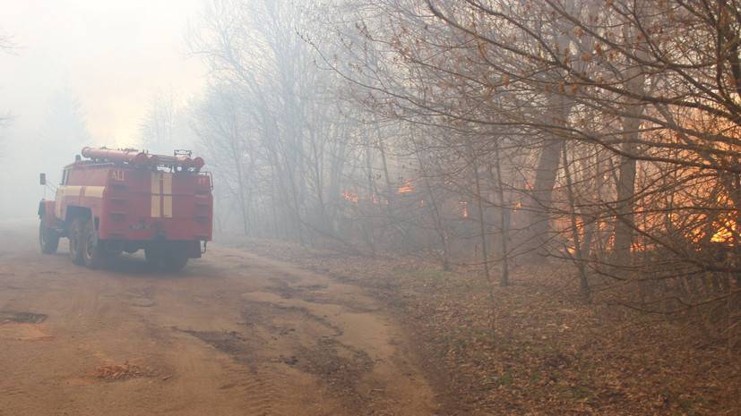 В ГосЧС Украины рассказали о ситуации с пожарами в чернобыльской зоне