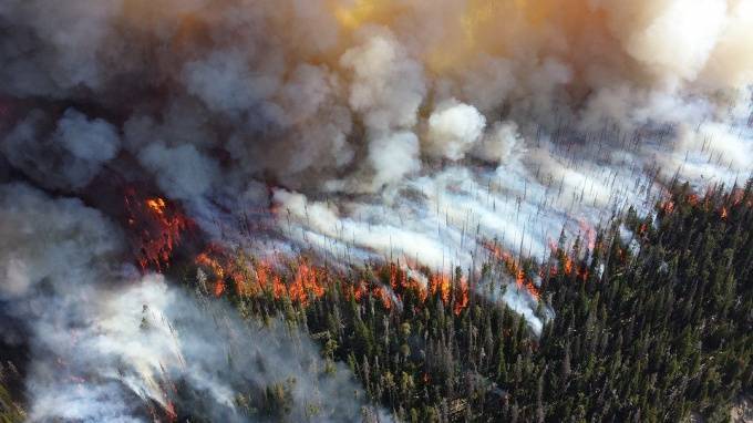 В Пушкине лётчики провели тренировку по тушению лесных пожаров