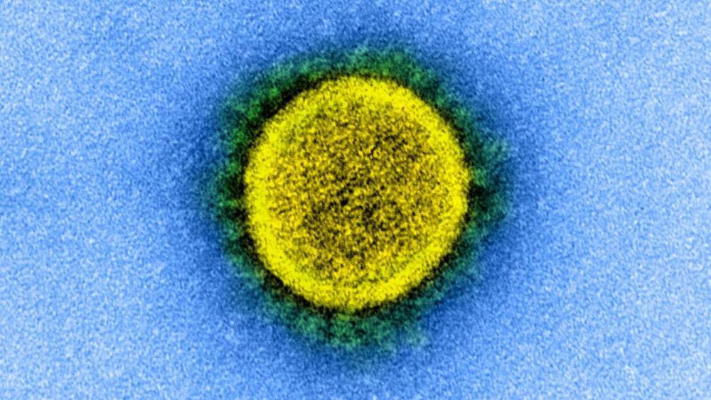 В РФ зарегистрирована тест-система для выявления антител к коронавирусу