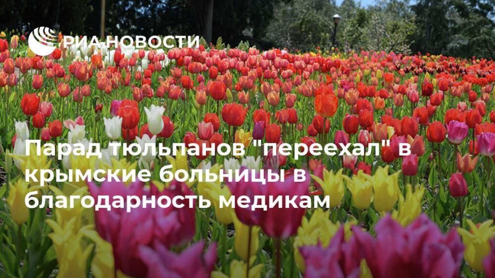 Парад тюльпанов "переехал" в крымские больницы в благодарность медикам