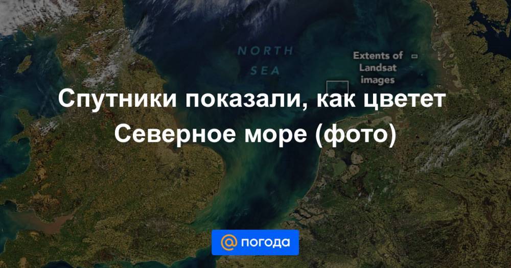 Спутники показали, как цветет Северное море (фото)