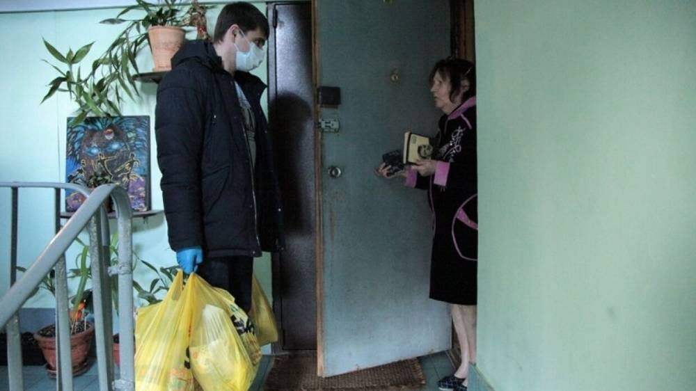 Депутат Боярский доставил продукты пожилой петербурженке