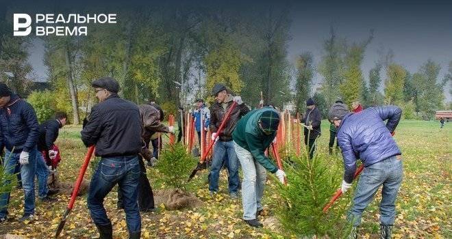 Татарстан вошел в пятерку лучших регионов по управлению лесами