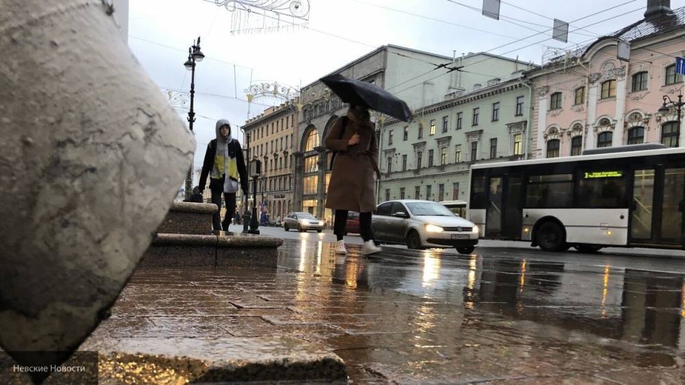 Мокрый снег и порывистый ветер надвигаются на Петербург