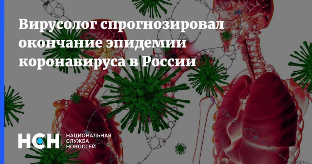 Вирусолог спрогнозировал окончание эпидемии коронавируса в России