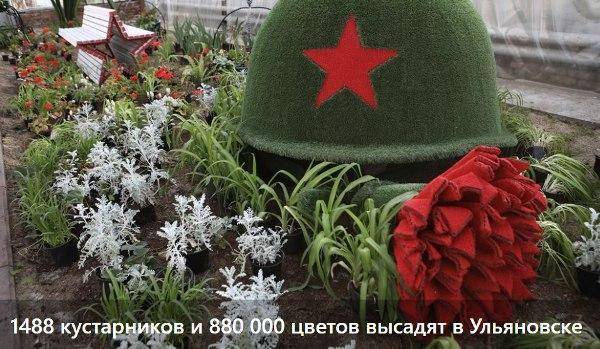 В Ульяновске объяснили закупку 1488 кустарников к празднованию Дня Победы