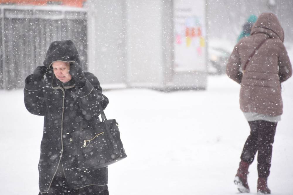 Гидрометцентр: Циклон принесет в Москву мокрый снег и заморозки