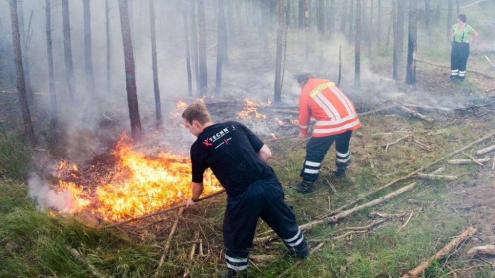 Лесные пожары и проблемы с урожаем: метеорологи сообщают, что Германию ждет очередная засуха