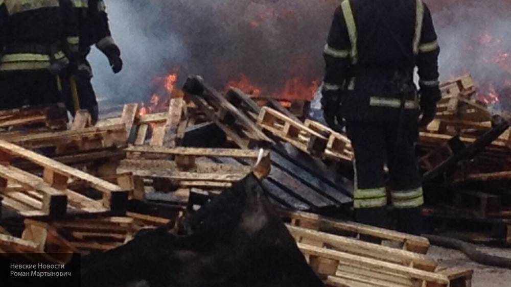 Пожарные из Тольятти потушили возгорание площадью в 800 "квадратов"