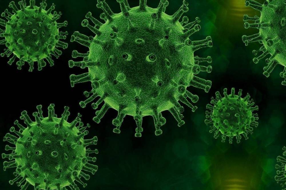 «Похож на ниндзя»: ученые выяснили скорость размножения коронавируса