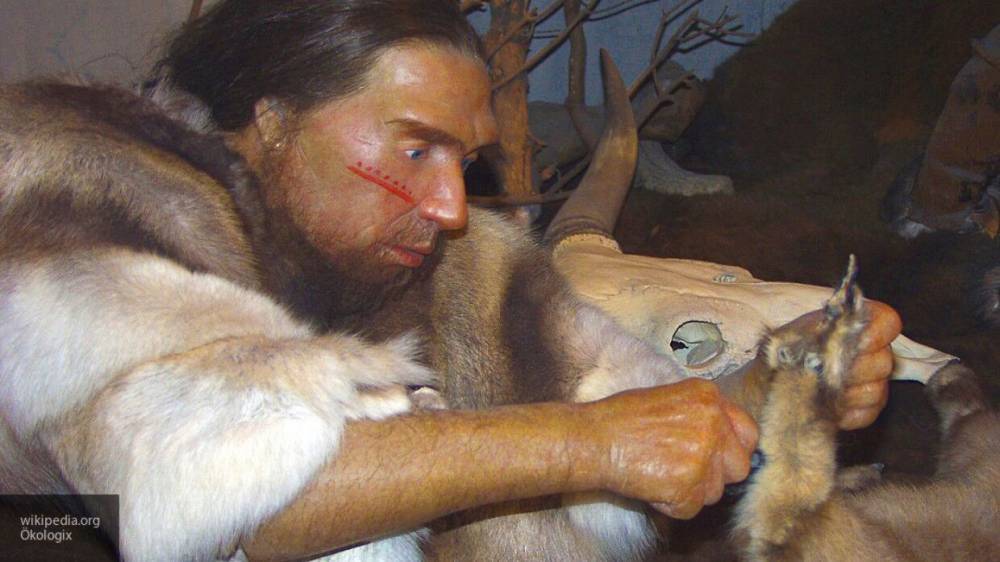 Ученые нашли свидетельства изготовления пряжи неандертальцами