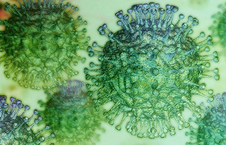 Врачи в Японии нашли препарат для блокировки коронавируса