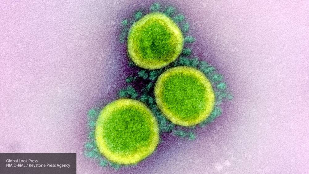 Японские ученые выяснили, что лекарство от ВИЧ может блокировать размножение коронавируса