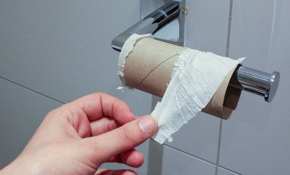 Эксперты Роскачества нашли в туалетной бумаге энтеробактерии