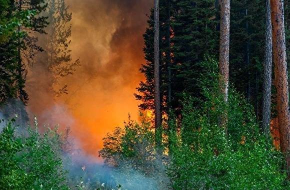 В выходные на Южном Урале произошло четыре лесных пожара на площади 15 гектаров