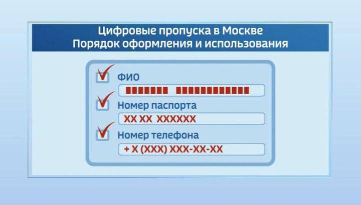 Мэрия Москвы: ложные сведения, указанные при получении пропуска, аналогичны подделке документов