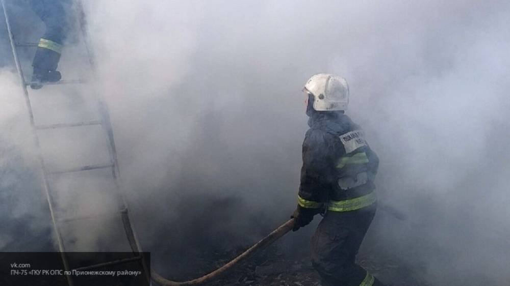 Два пожилых жителя Вадинского района погибли в пожаре под Пензой