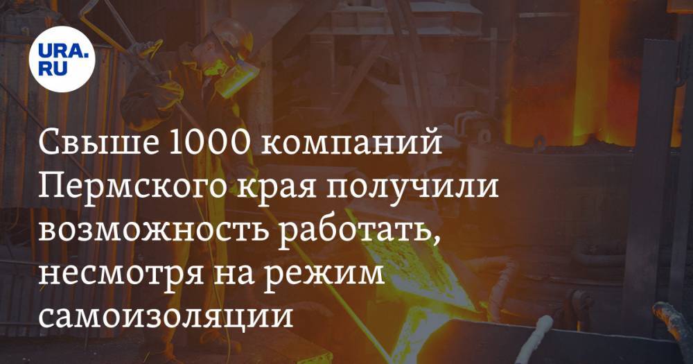 Свыше 1000 компаний Пермского края получили возможность работать, несмотря на режим самоизоляции