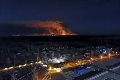 В поджогах лесов у Чернобыльской АЭС обвинили сталкеров