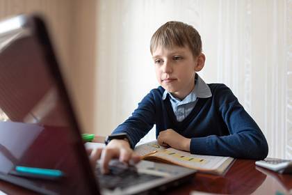 Оценена потребность российских школьников в компьютерах для учебы из дома