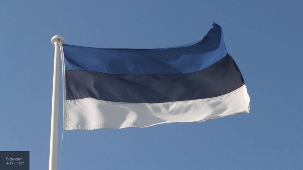 Посольство РФ в Эстонии раскритиковало главу Сил обороны за антироссийские высказывания