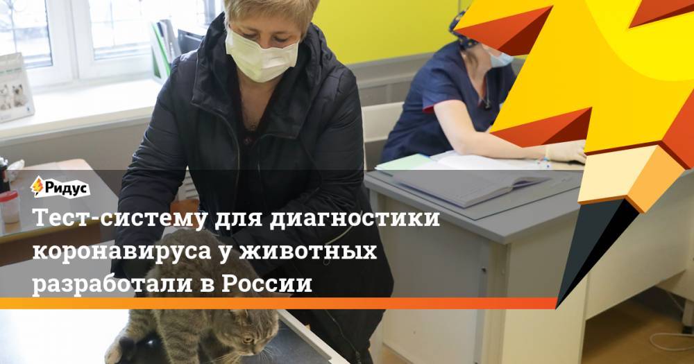 Тест-систему для диагностики коронавируса у животных разработали в России