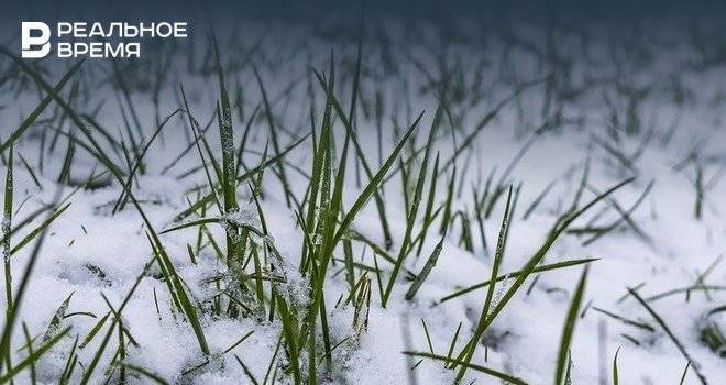 В некоторых районах Татарстана остановили полевые работы из-за снега