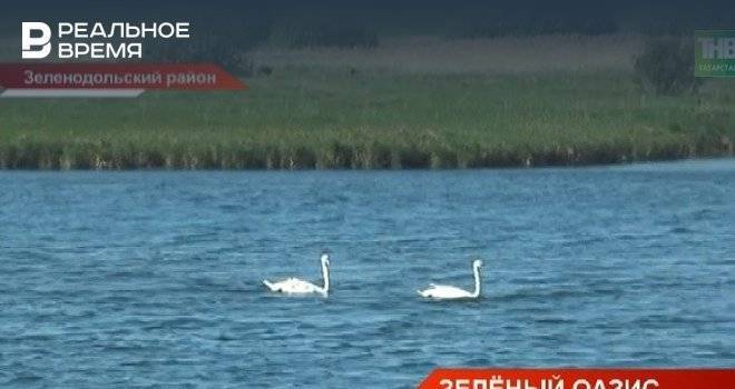 ТНВ рассказало о дендрарии Волжско-камского заповедника — видео