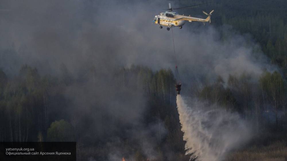 Вероятный виновник лесного пожара у Чернобыльской АЭС задержан полицией Украины