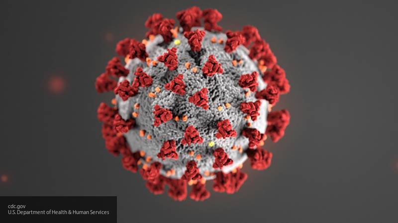 Российская компания доставила в страну из США штамм нового коронавируса для изучения