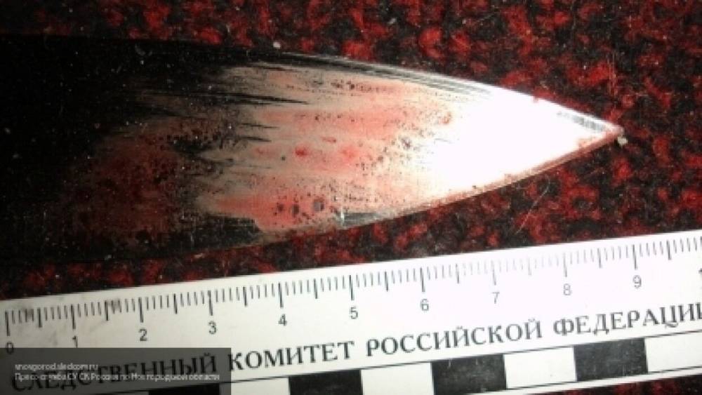 Житель Красноярска зарезал приятеля из Новосибирска на съемной квартире