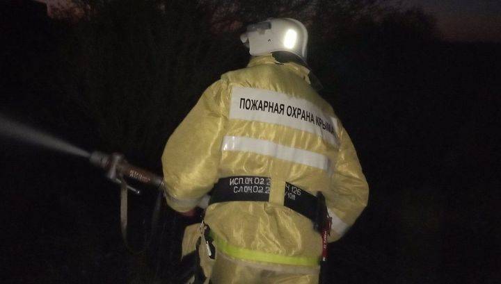 Один человек погиб в крупном лесном пожаре в Крыму