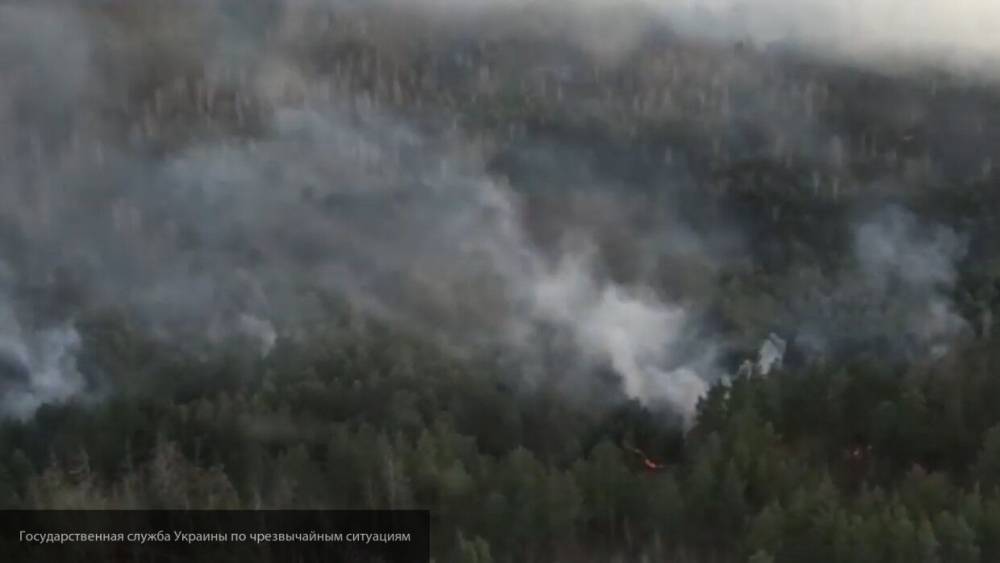 Правоохранители установили второго поджигателя леса в зоне отчуждения ЧАЭС