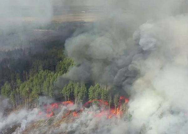 В сети появилось видео горящих лесов под Чернобылем. Огонь подобрался к саркофагу чернобыльской АЭС