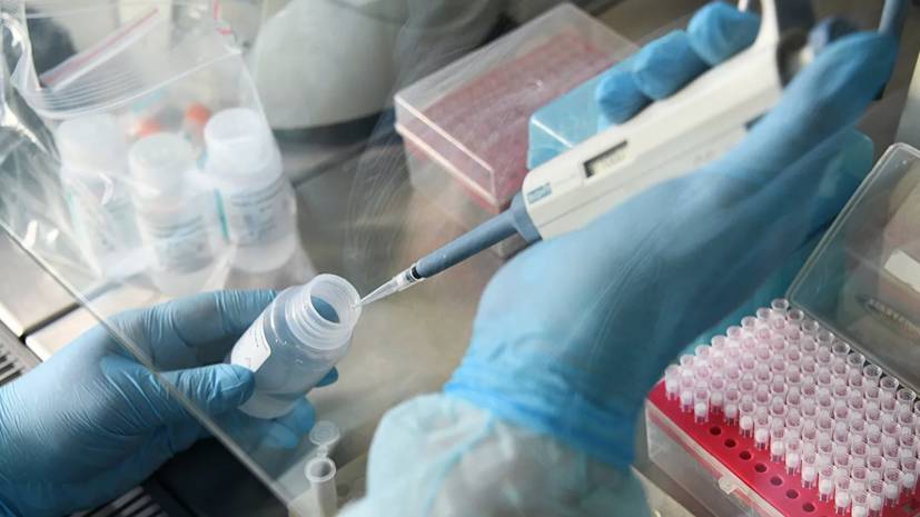 Академик РАН дал прогноз по пандемии коронавируса в России