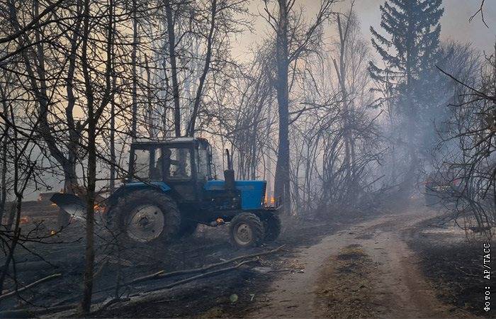 Дождь помог потушить пожар в Чернобыльской зоне