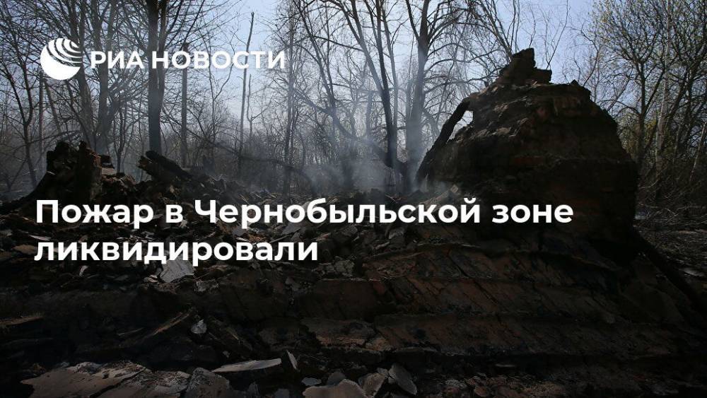 Пожар в Чернобыльской зоне ликвидировали