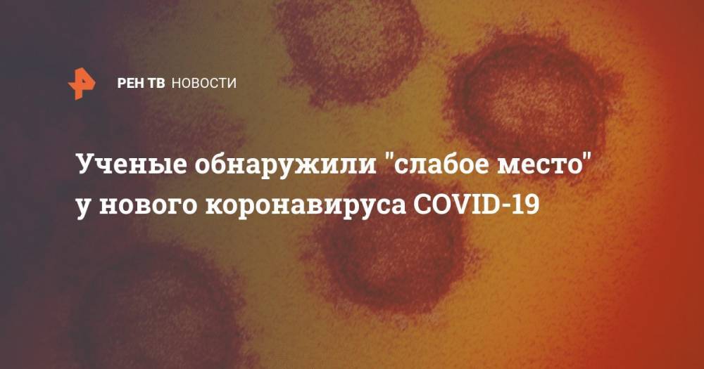 Ученые обнаружили "слабое место" у нового коронавируса COVID-19