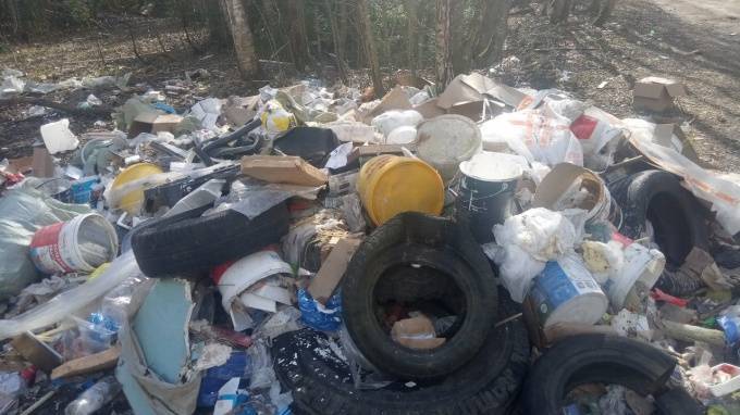 Жители Нового Девяткино пожаловались на горы мусора в Капральевом парке