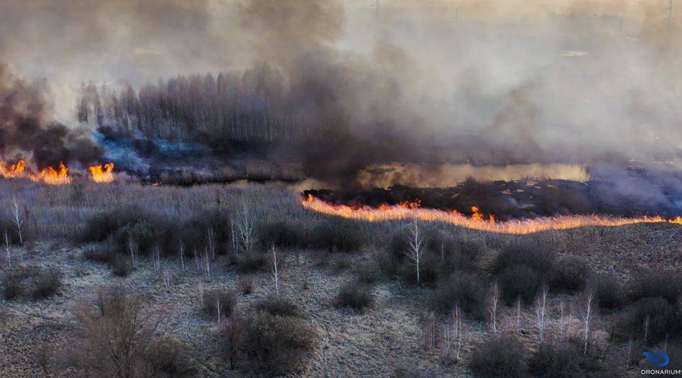 Пожар в чернобыльской зоне потушен