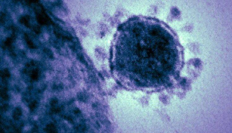 Эксперт назвал цель импорта штамма коронавируса из США