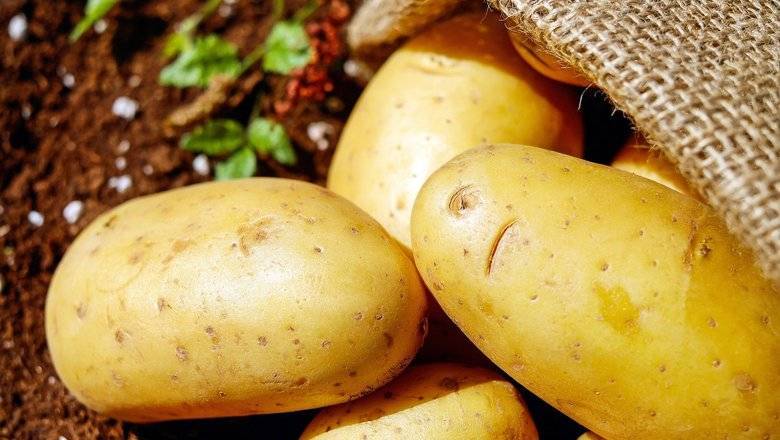На Кипре оштрафовали двух жителей на 3 тыс евро за кражу картофеля с поля