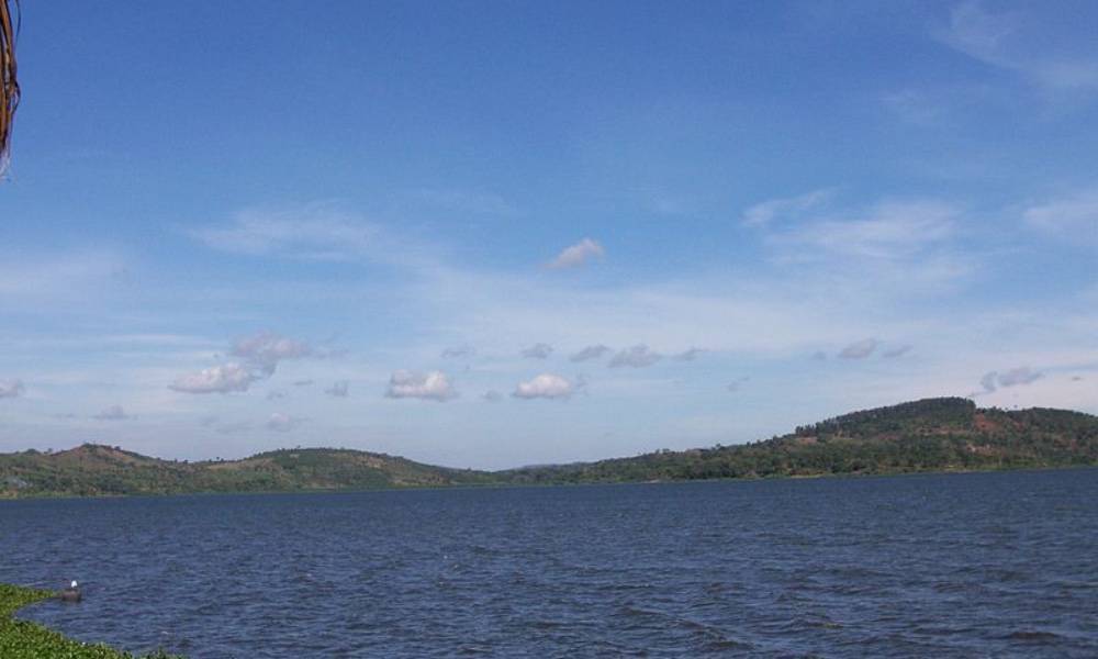 В Уганде из-за плавучего острова произошло отключение энергии по всей стране