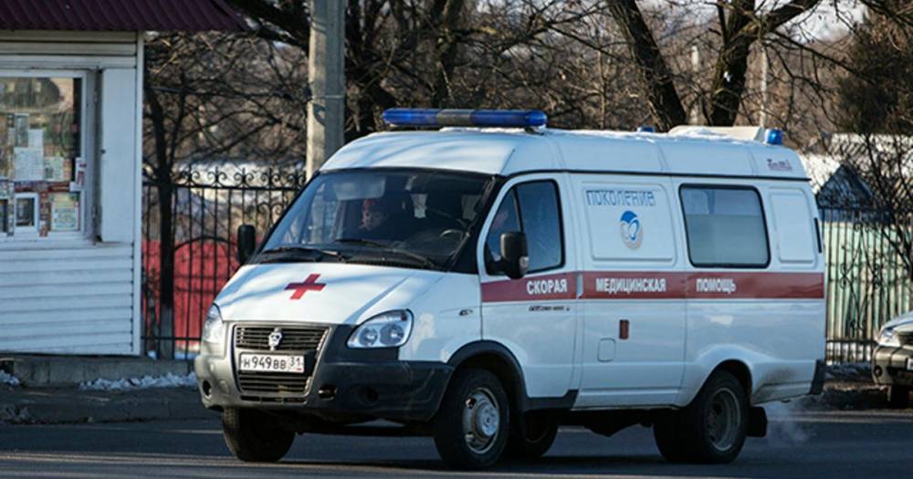 С прогулки ребенка экстренно госпитализировали в больницу Кузбасса
